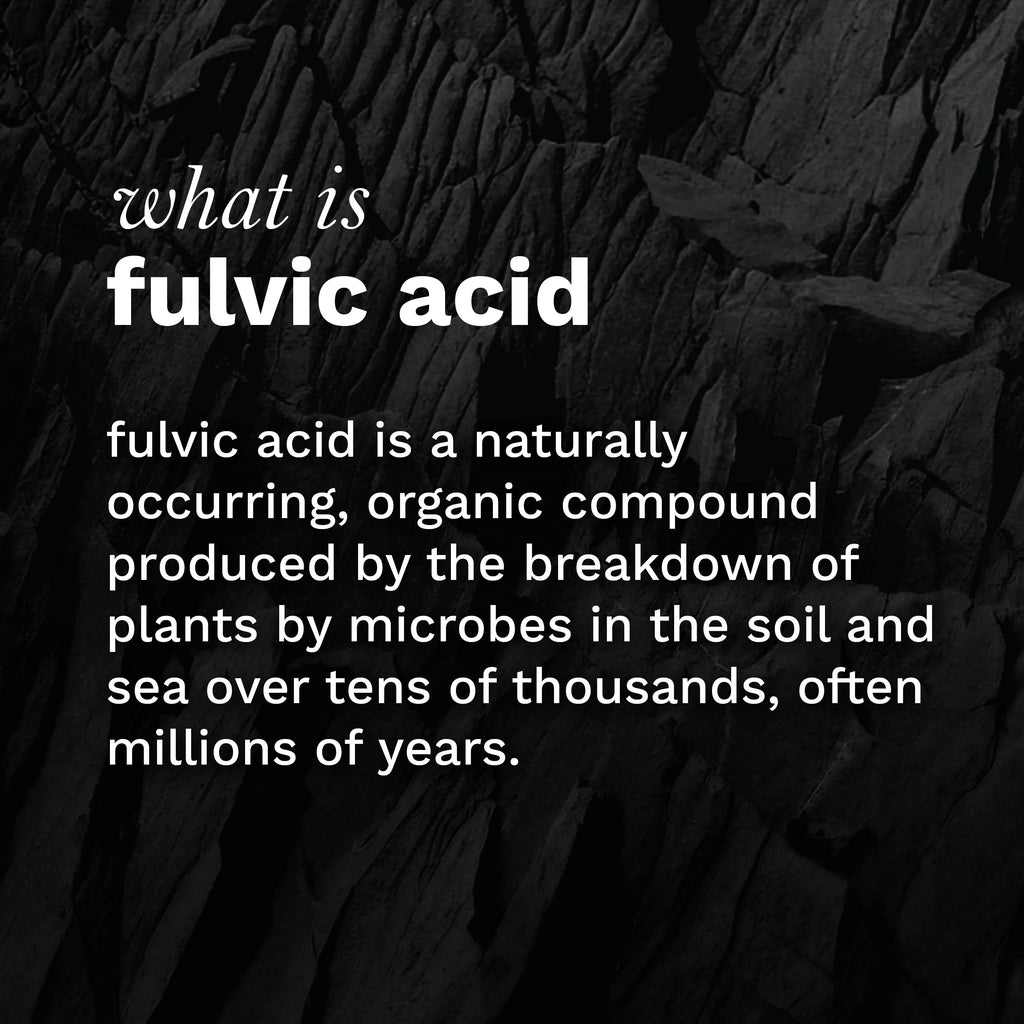 Water Infused with Fulvic Minerals, Essential Amino Acids, Trace Minerals, Alkaline Ph 8.0+, 1L (Pack Of 12) S618