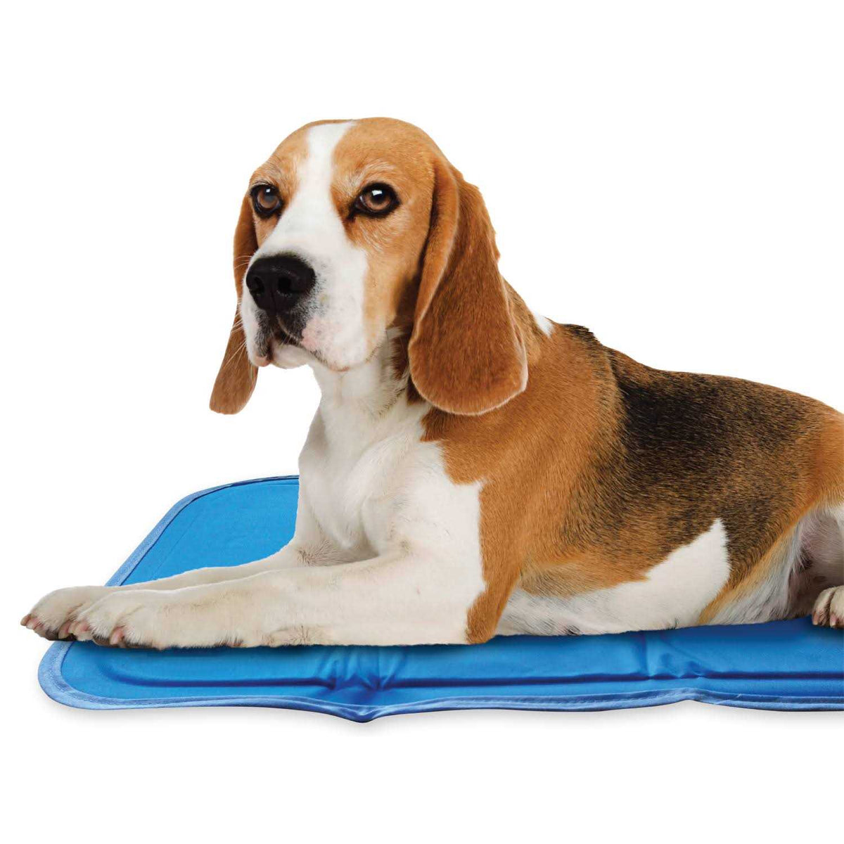 Cool Pet Pad W1108