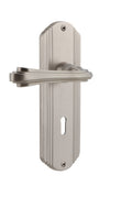 Satin Nickel Privacy Door Lever Set with Ros N896