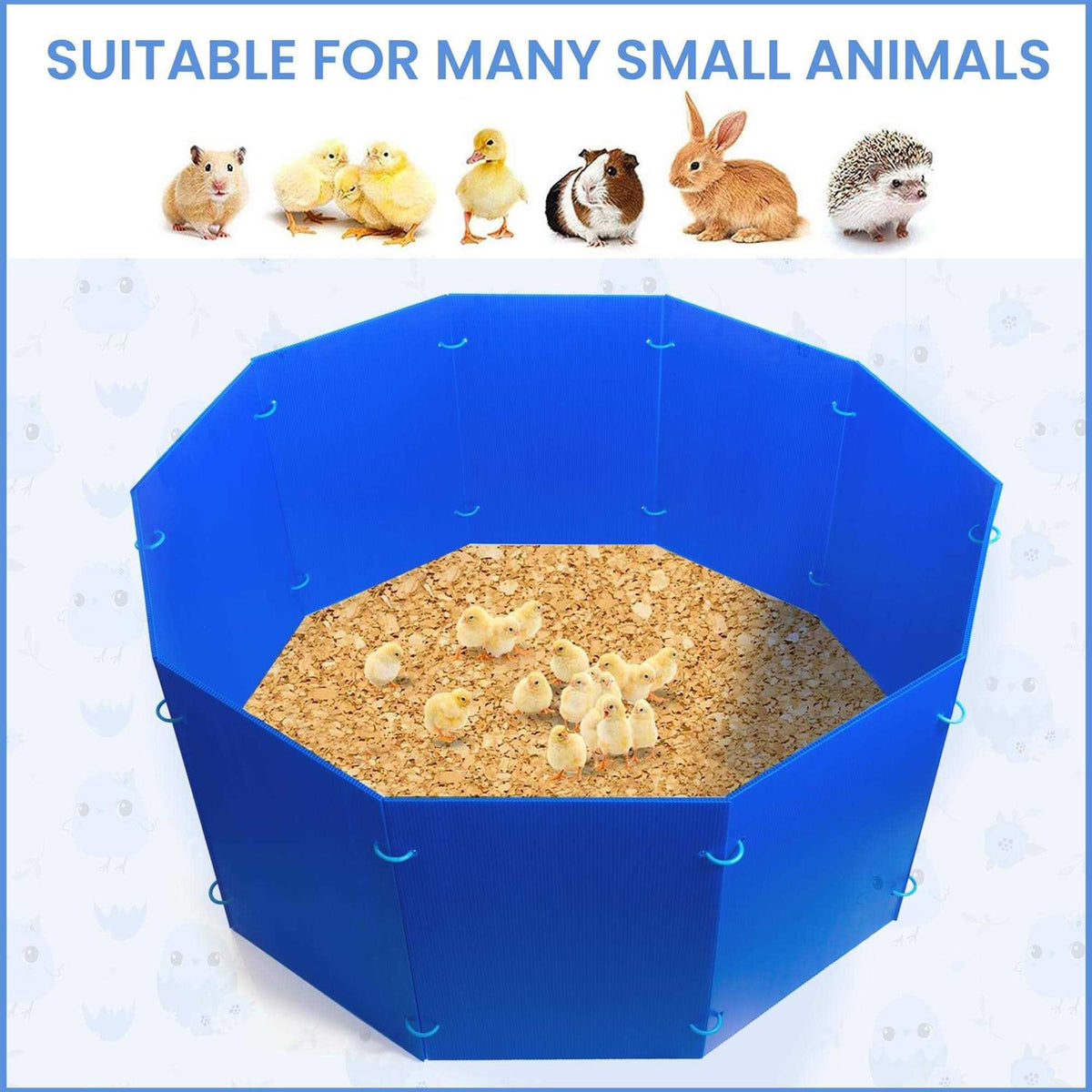 Blue Circular Chicken Brooder Box D936