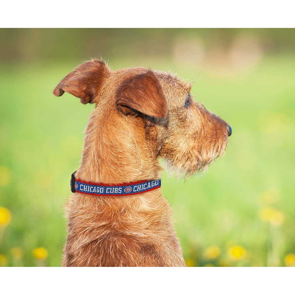 Dog Collar M366408