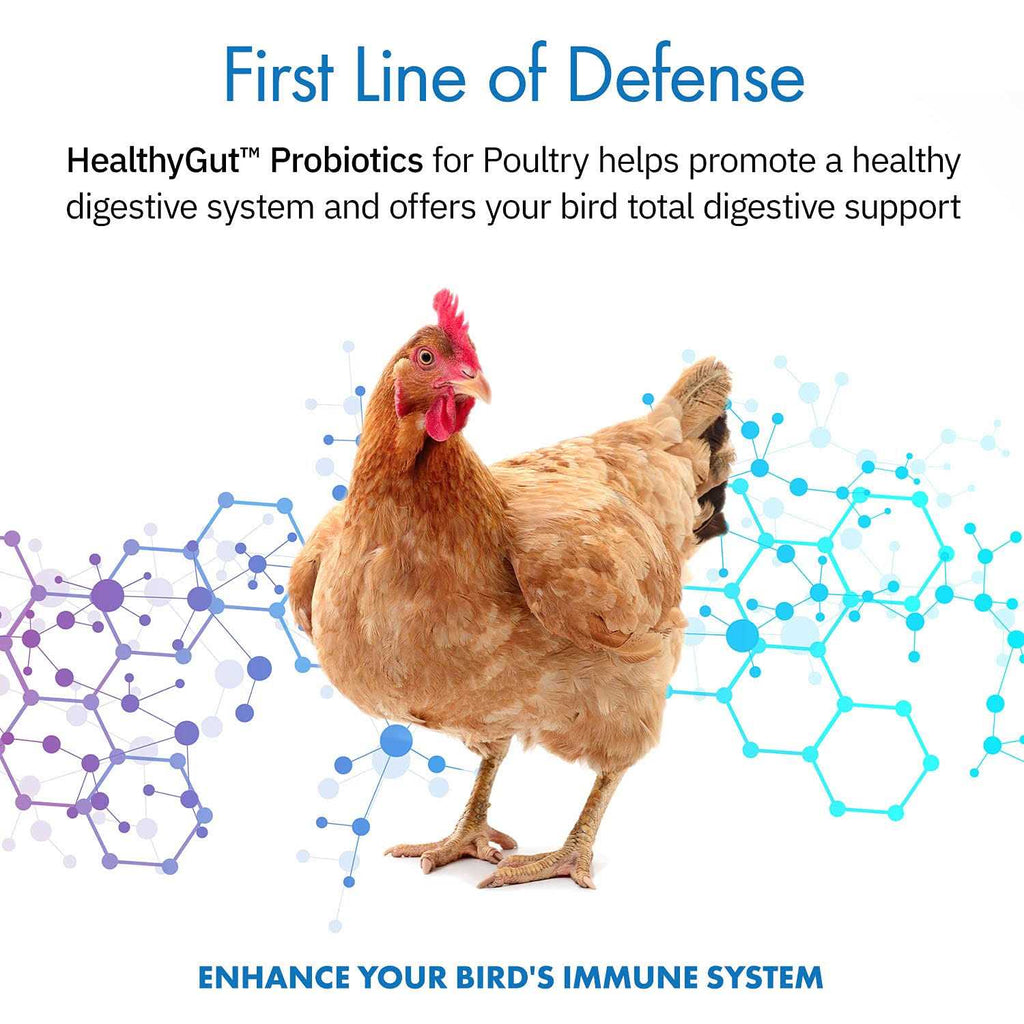 Probiotics for Chickens & Poultry C6663