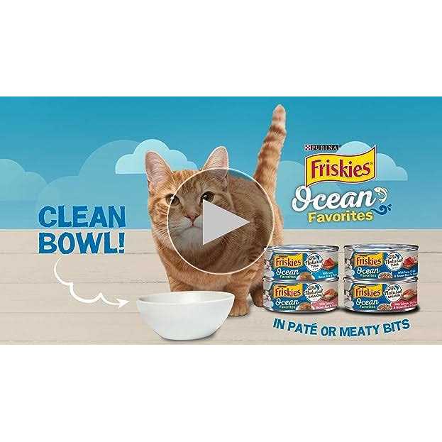 Wet Cat Food O1458