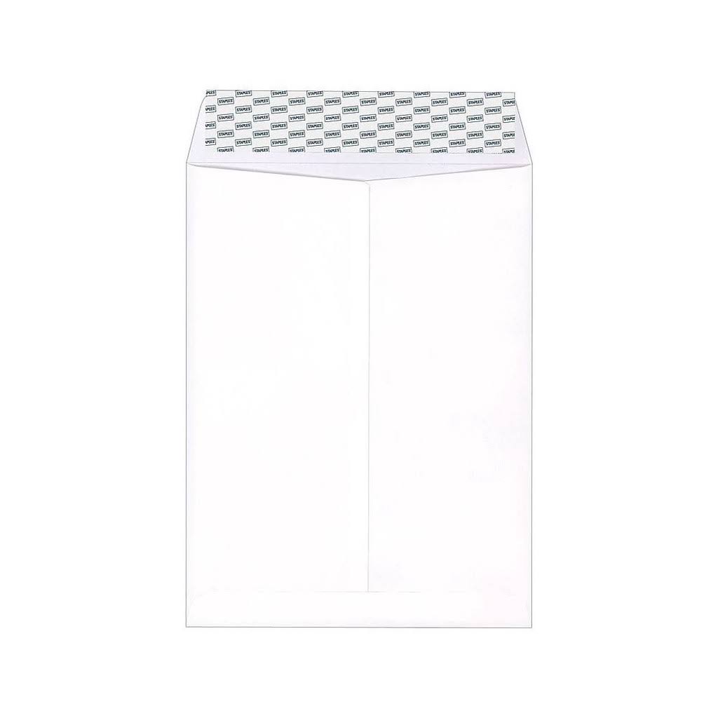 9 x 12 White Wove Catalog Envelopes, 250/Box V869400