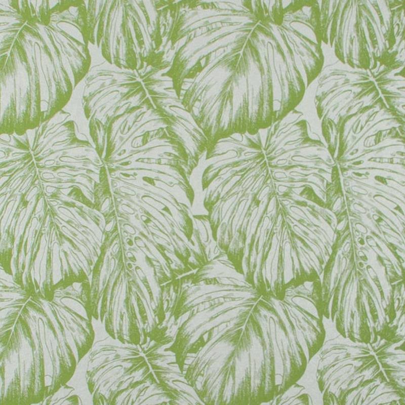 Tropical Parakeet Wallpaper J64075
