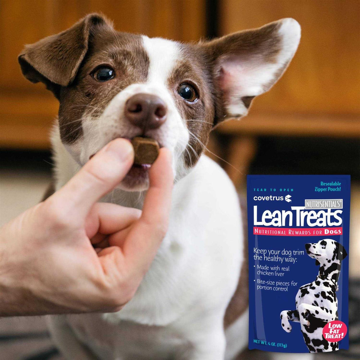 Lean Treats Dogs H87987
