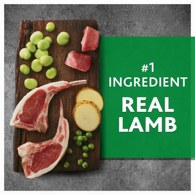 11 Lbs Grain-Free Dry Dog Food (Lamb & Fava Bean) A1801