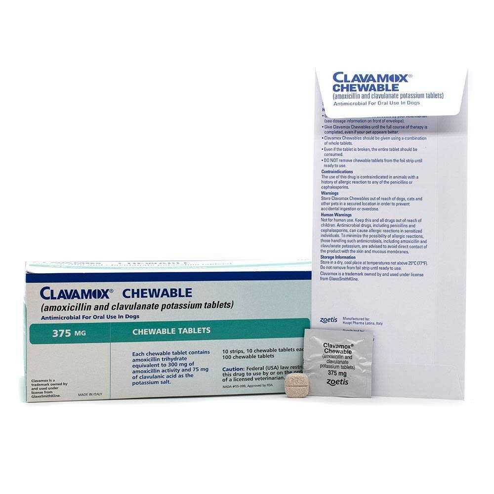 Clavamox Chewable V1868