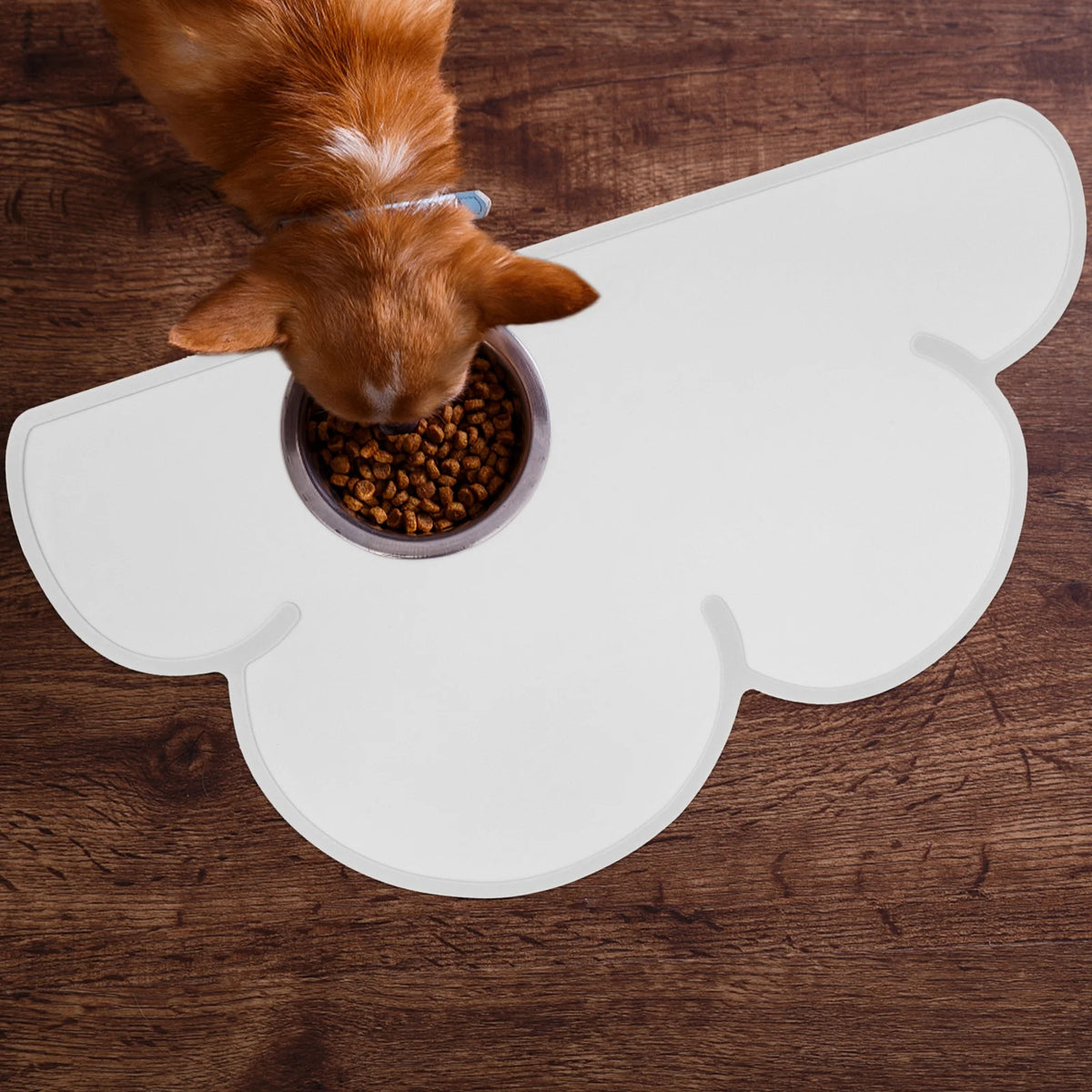 2 Count Silicone Pet Placemat Z116