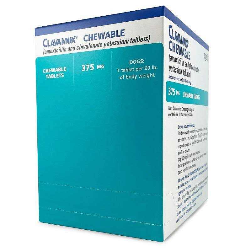 Clavamox Chewable V1868
