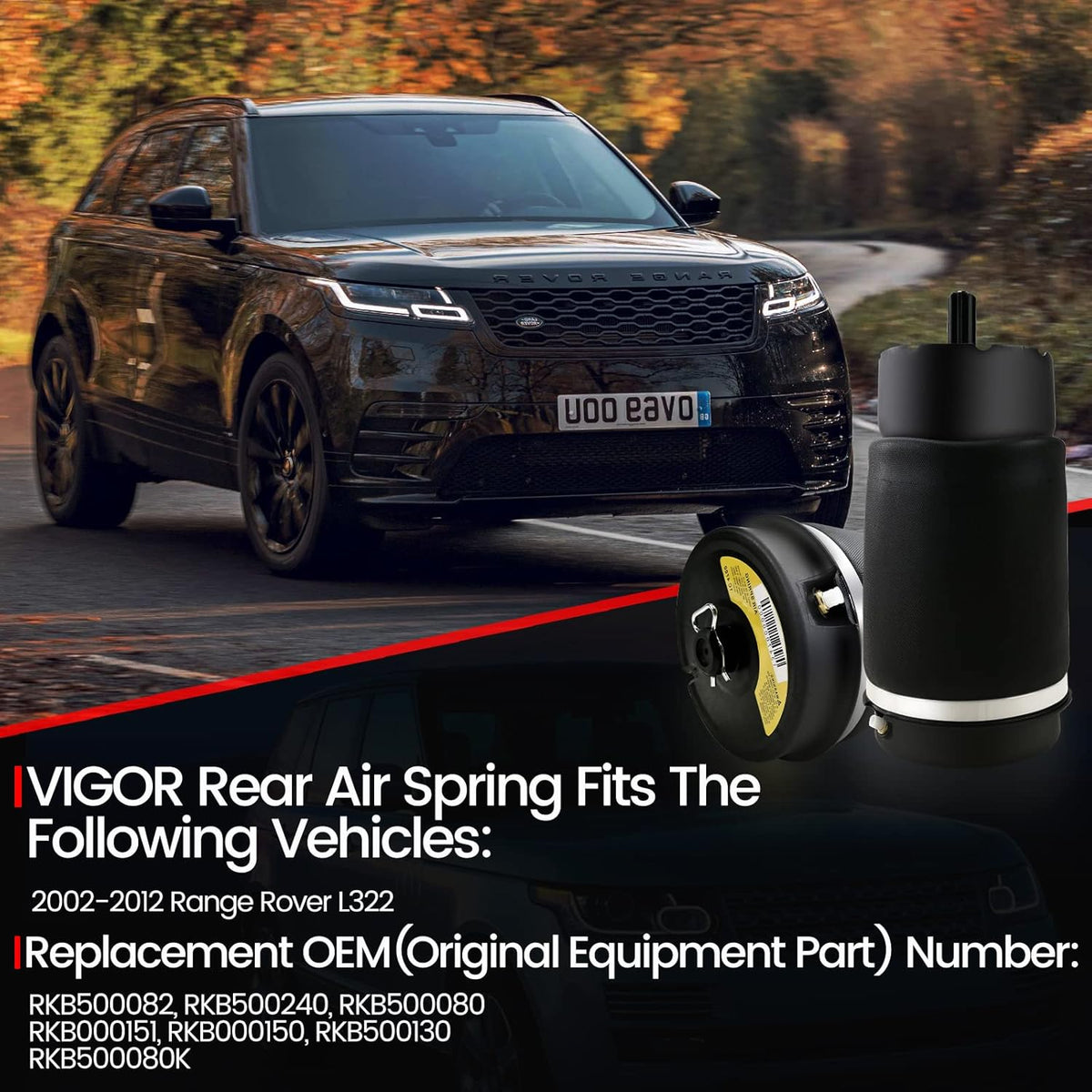 Rear Air Suspension Spring Bag L70002