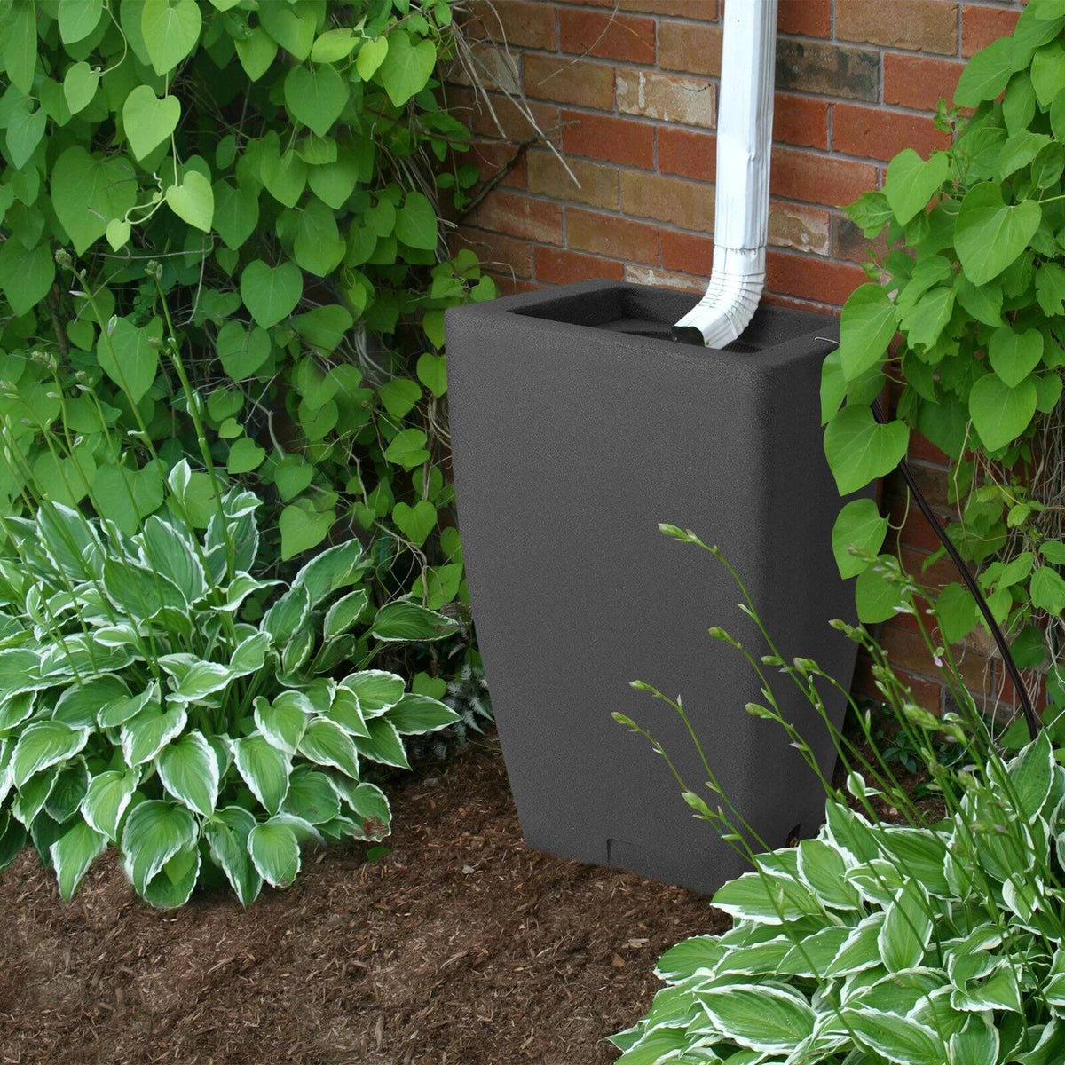 49 Gallon Rain Barrel A135