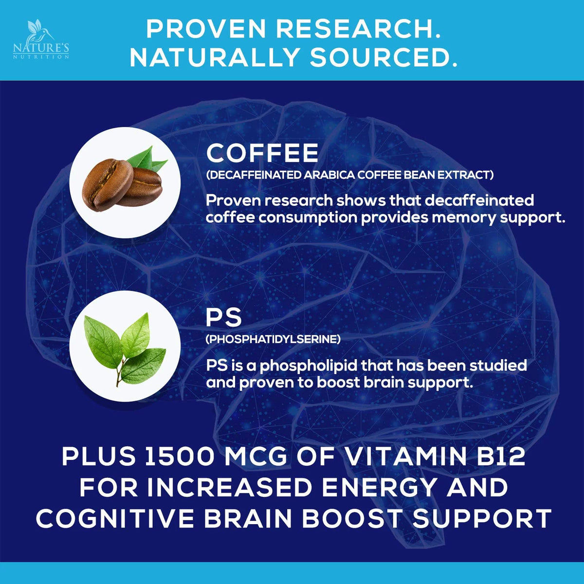 Nootropic Brain Booster Memory Supplement Gummy with B12, Phosphatidylserine, Coffee Extract - 120 Gummies D9906