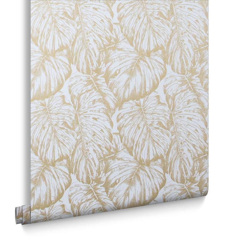 Tropical Parakeet Wallpaper J64075