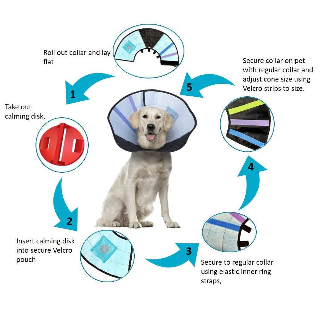 Dog Calming Collar B603166