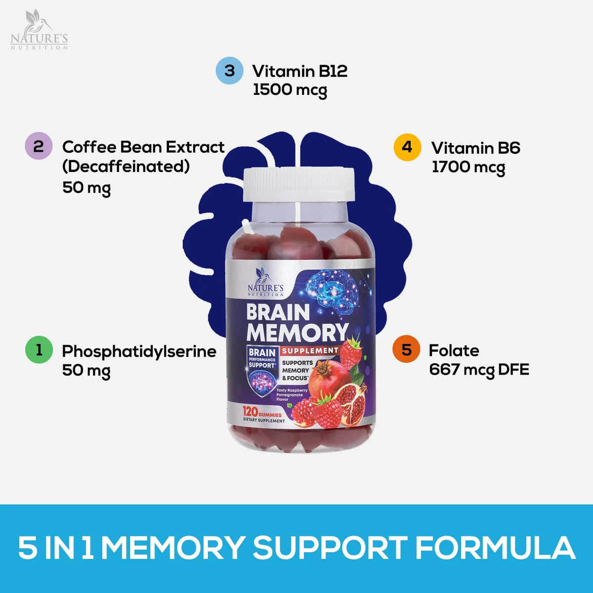 Nootropic Brain Booster Memory Supplement Gummy with B12, Phosphatidylserine, Coffee Extract - 120 Gummies D9906