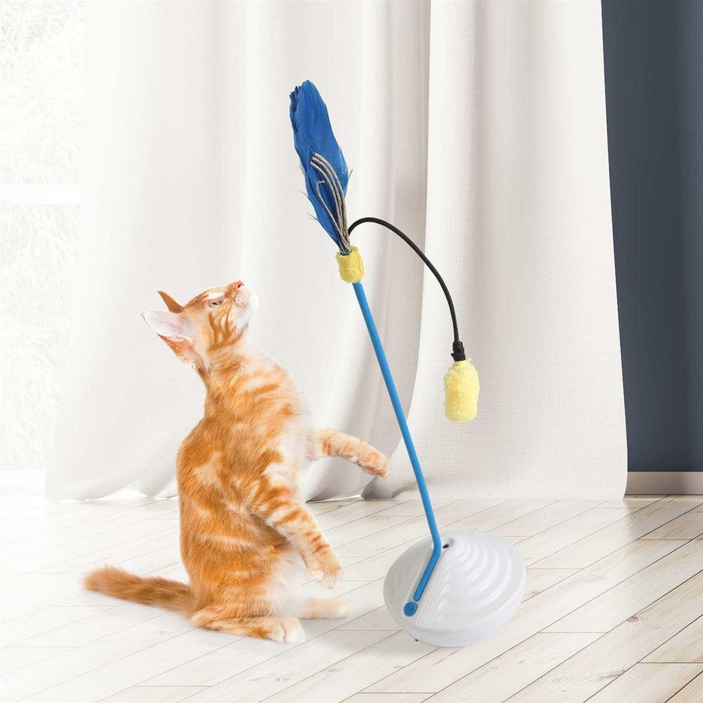 Cat Catnip Mister W922854