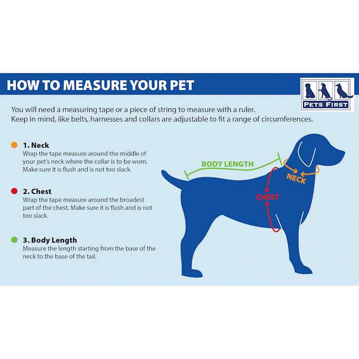 Dog Collar M366408