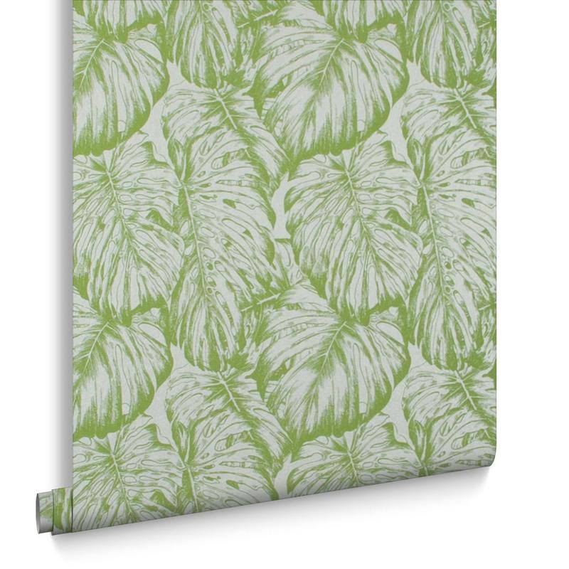 Tropical Parakeet Wallpaper J64075