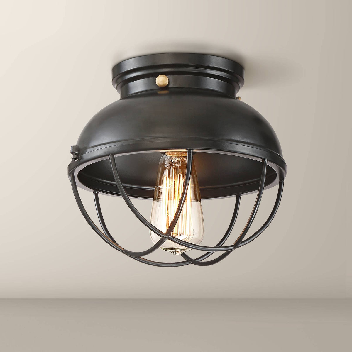 Black Caged Ceiling Light L16359