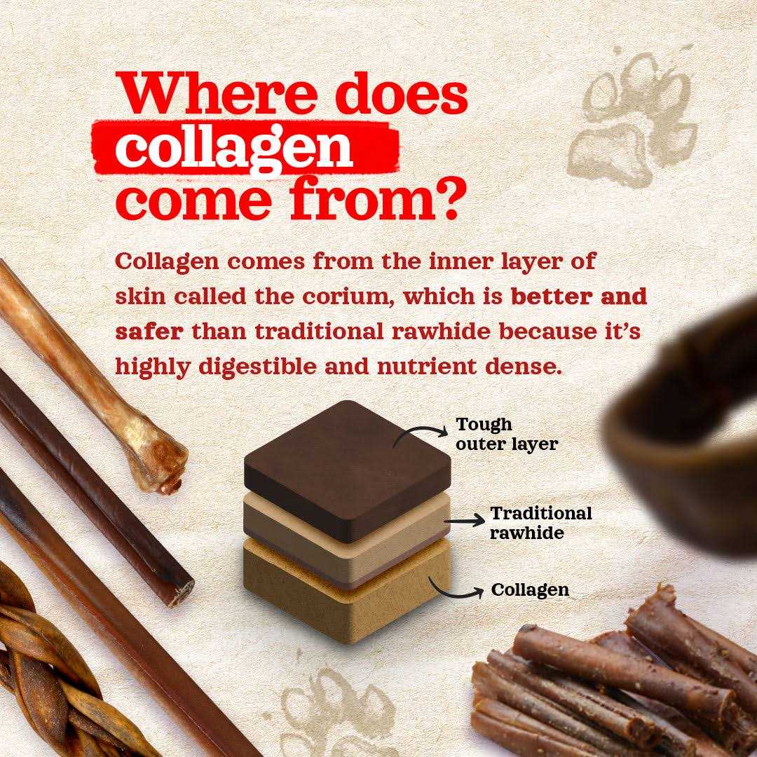 Collagen Sticks Pet Supplies L351500