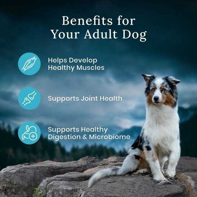 Salmon Dry Dog Food P91282