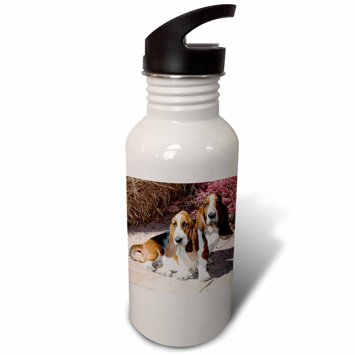 21 oz Sports Water Bottle V972