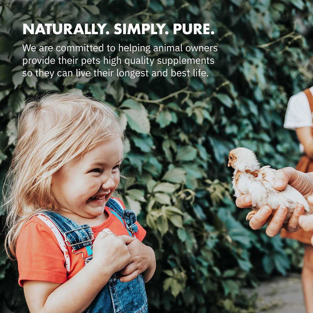 Probiotics for Chickens & Poultry C6663