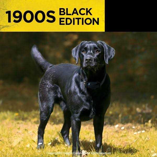 Black 1 Mile Remote Trainer M989