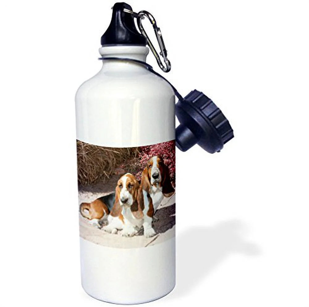 21 oz Sports Water Bottle V972