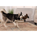 Platypus Dog Toy D6189