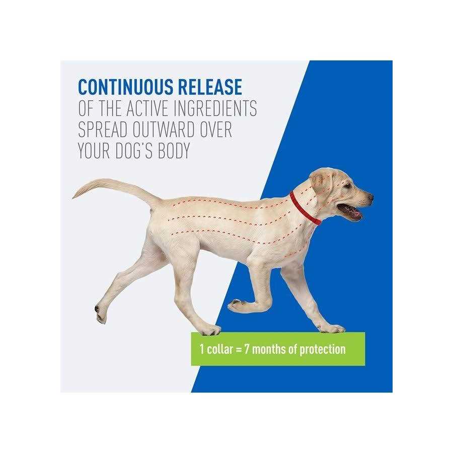 Flea and Tick Collar For Dogs M8522