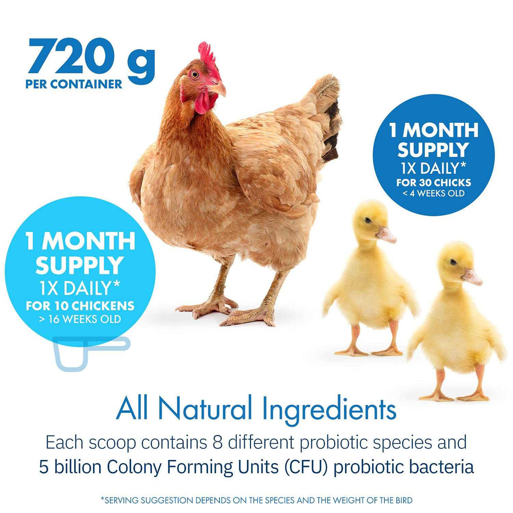 Probiotics for Chickens & Poultry C6663