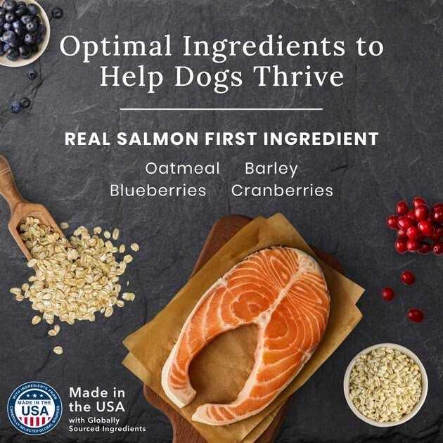 Salmon Dry Dog Food P91282