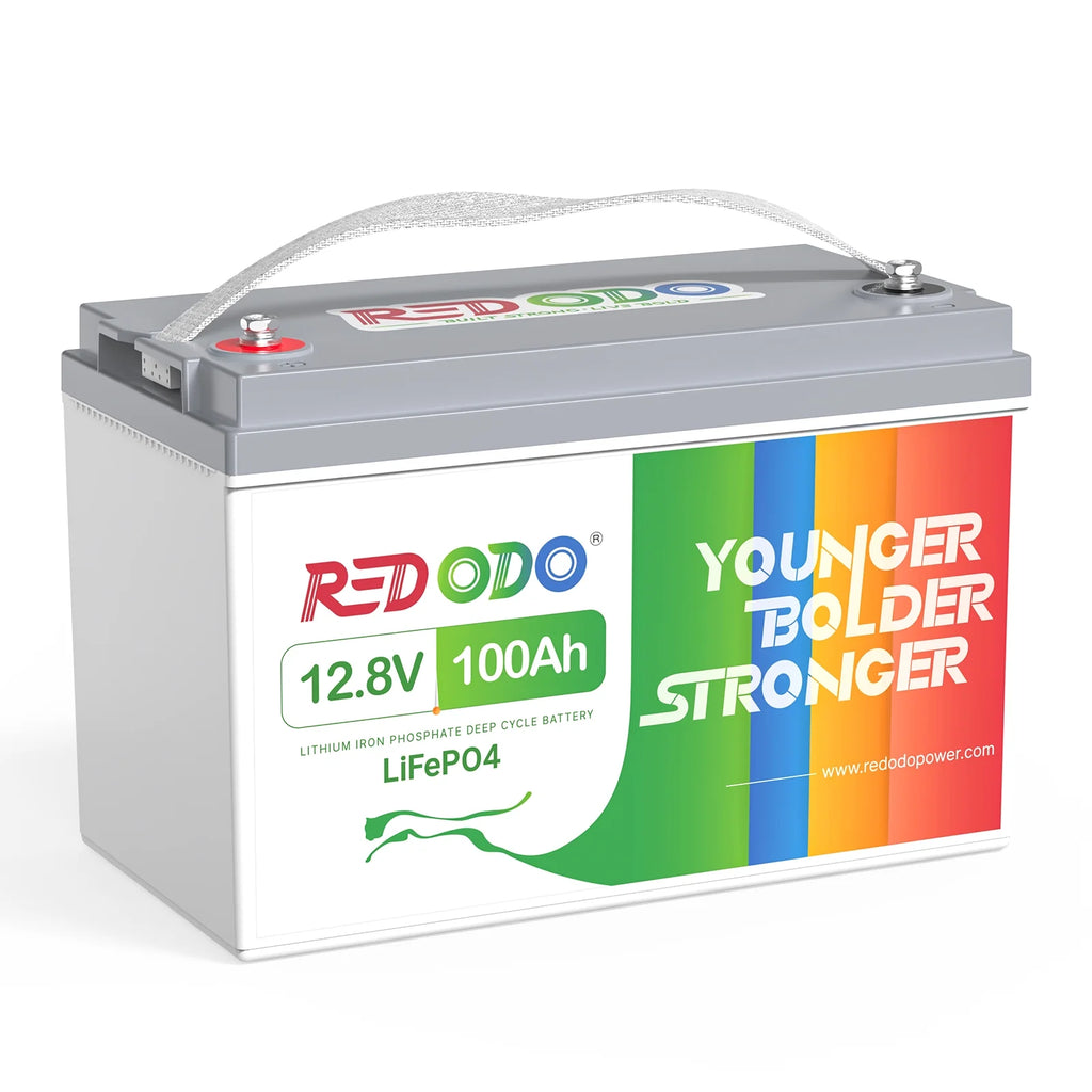 12V 100Ah LiFePO4 Deep Cycle Lithium Battery with 100A BMS V798
