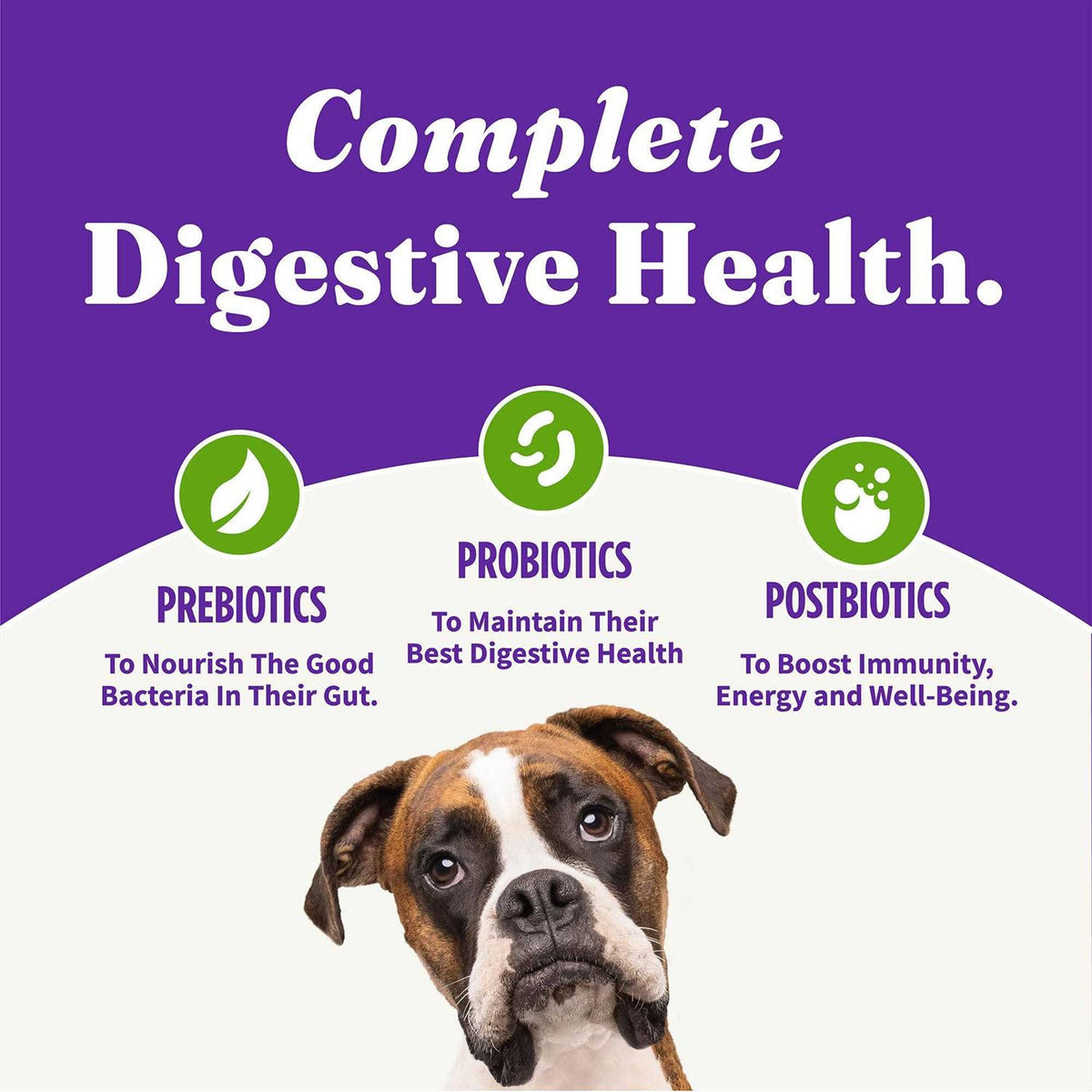 Vegan Plant-Based Dry Dog Food S7064