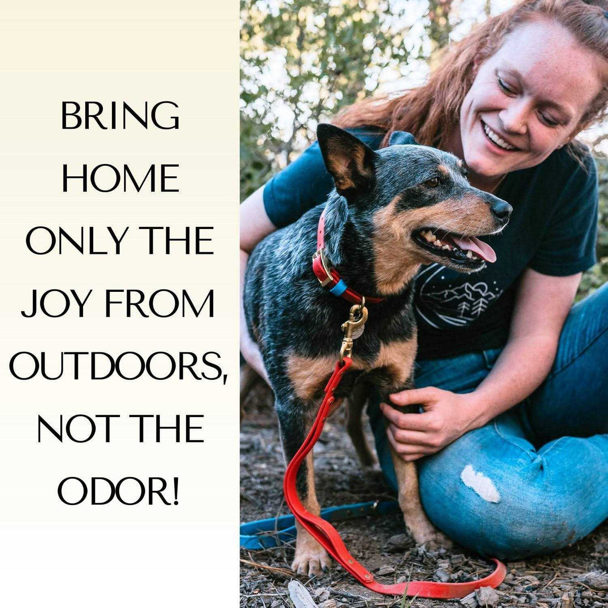 Waterproof Odorless Dog Collar M2620