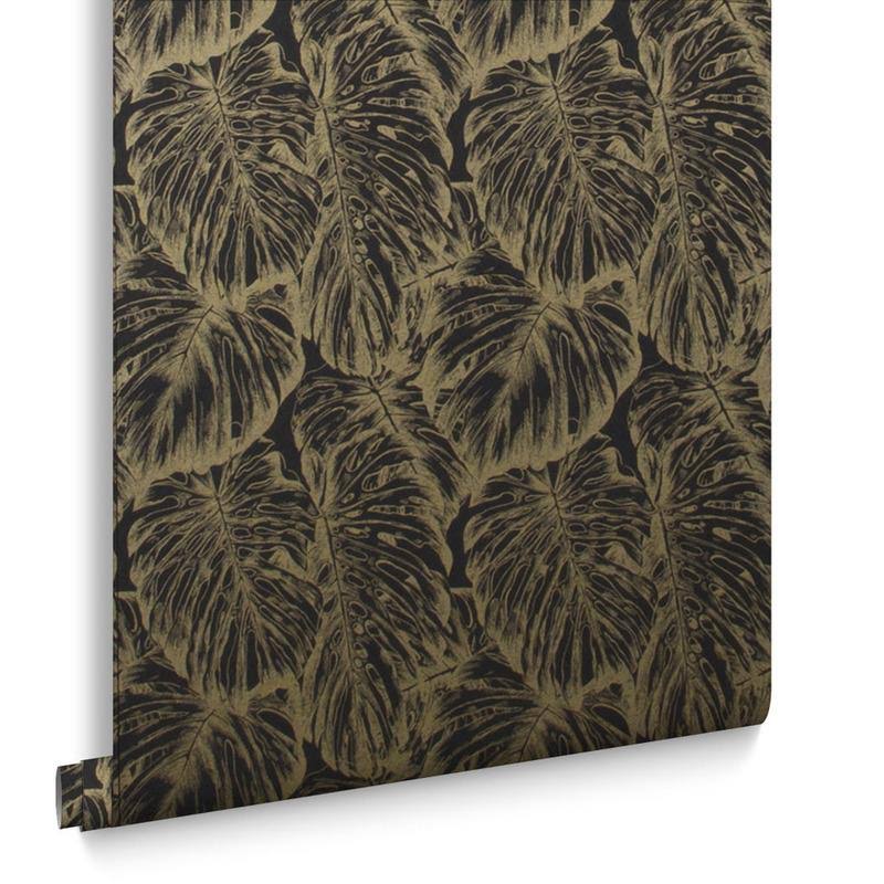 Tropical Parakeet Wallpaper J64075
