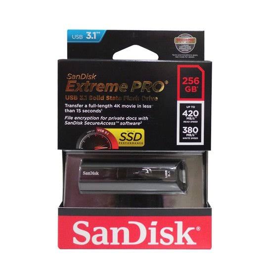 256 GB USB 3.1 Flash Drive G5291