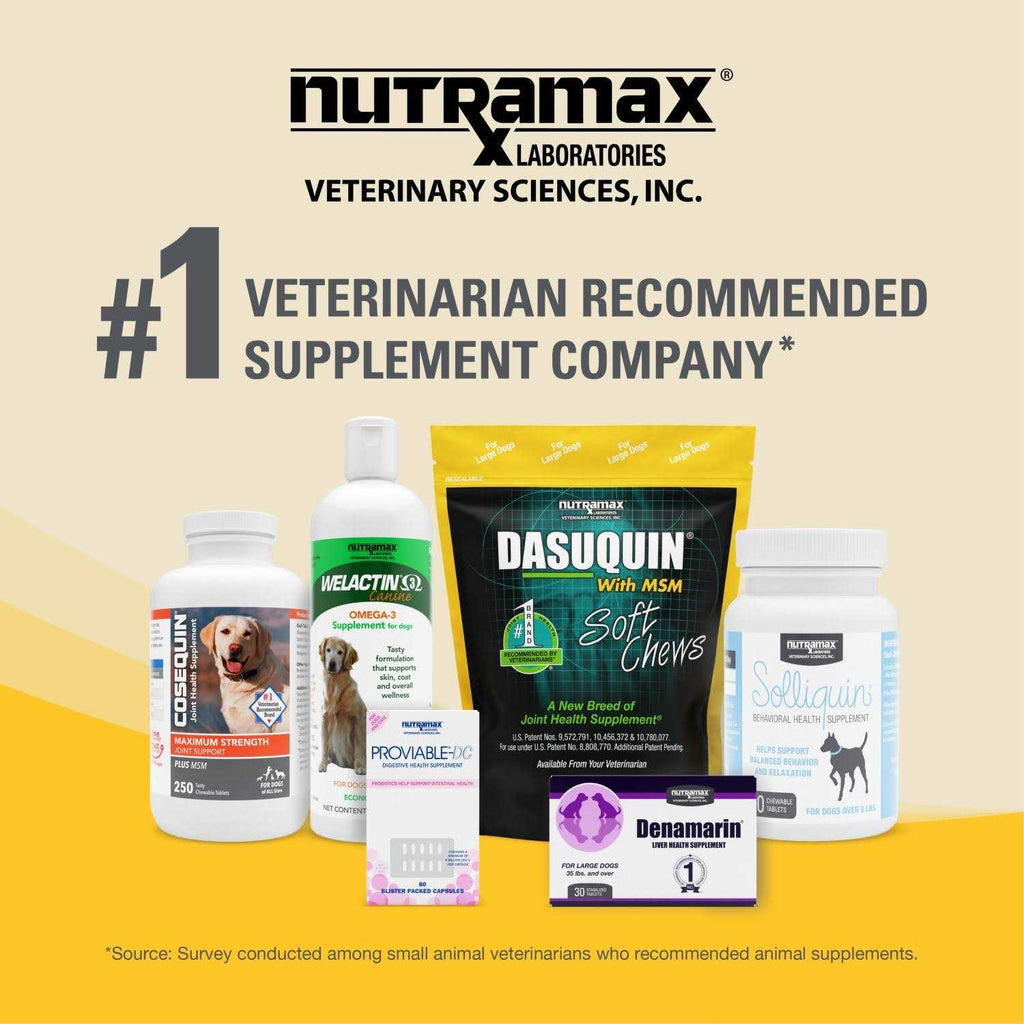 Joint Health Supplement with MSM for Small to Medium Dogs Z291