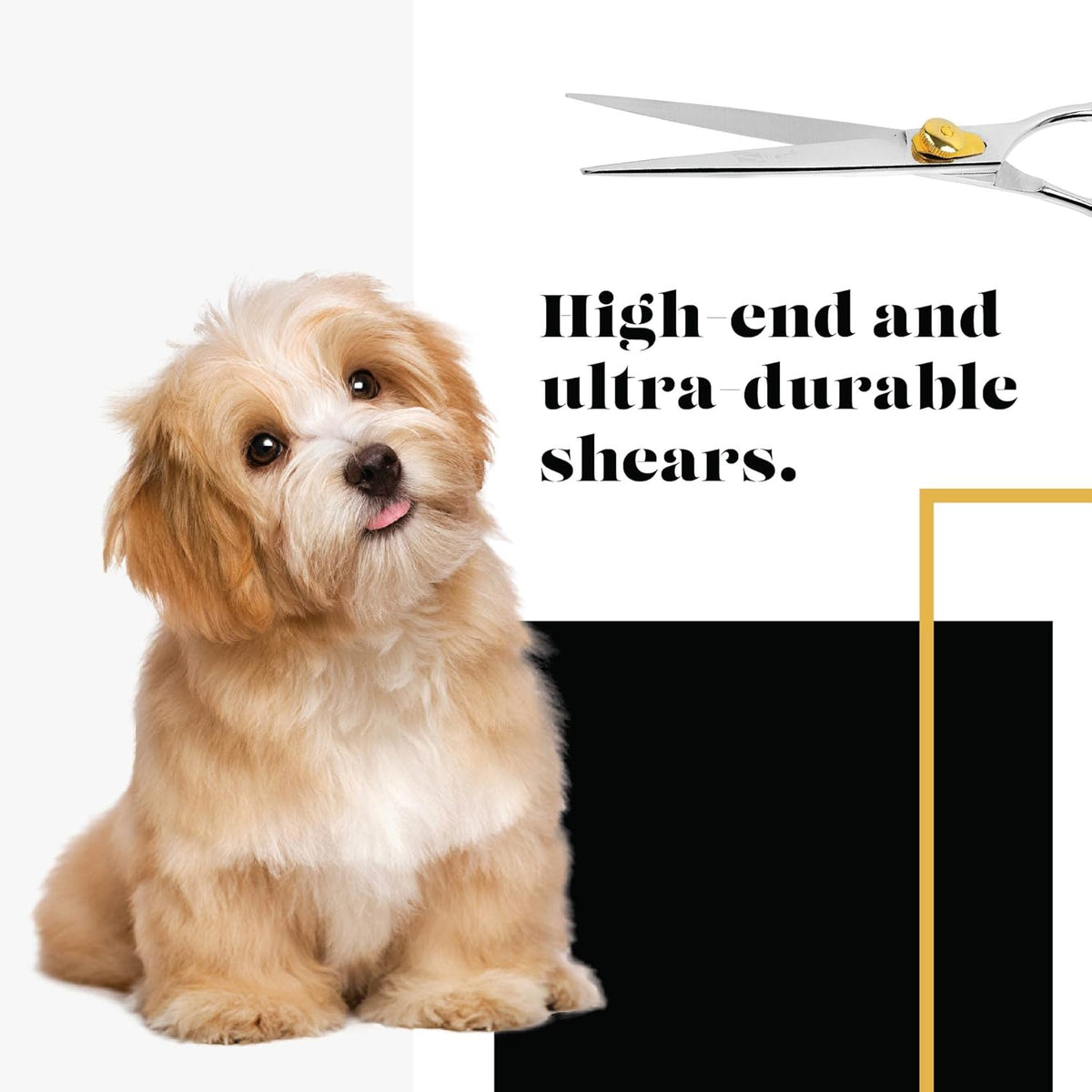 6.5 Inch 440c Stainless Steel Pet Grooming Shear R374081