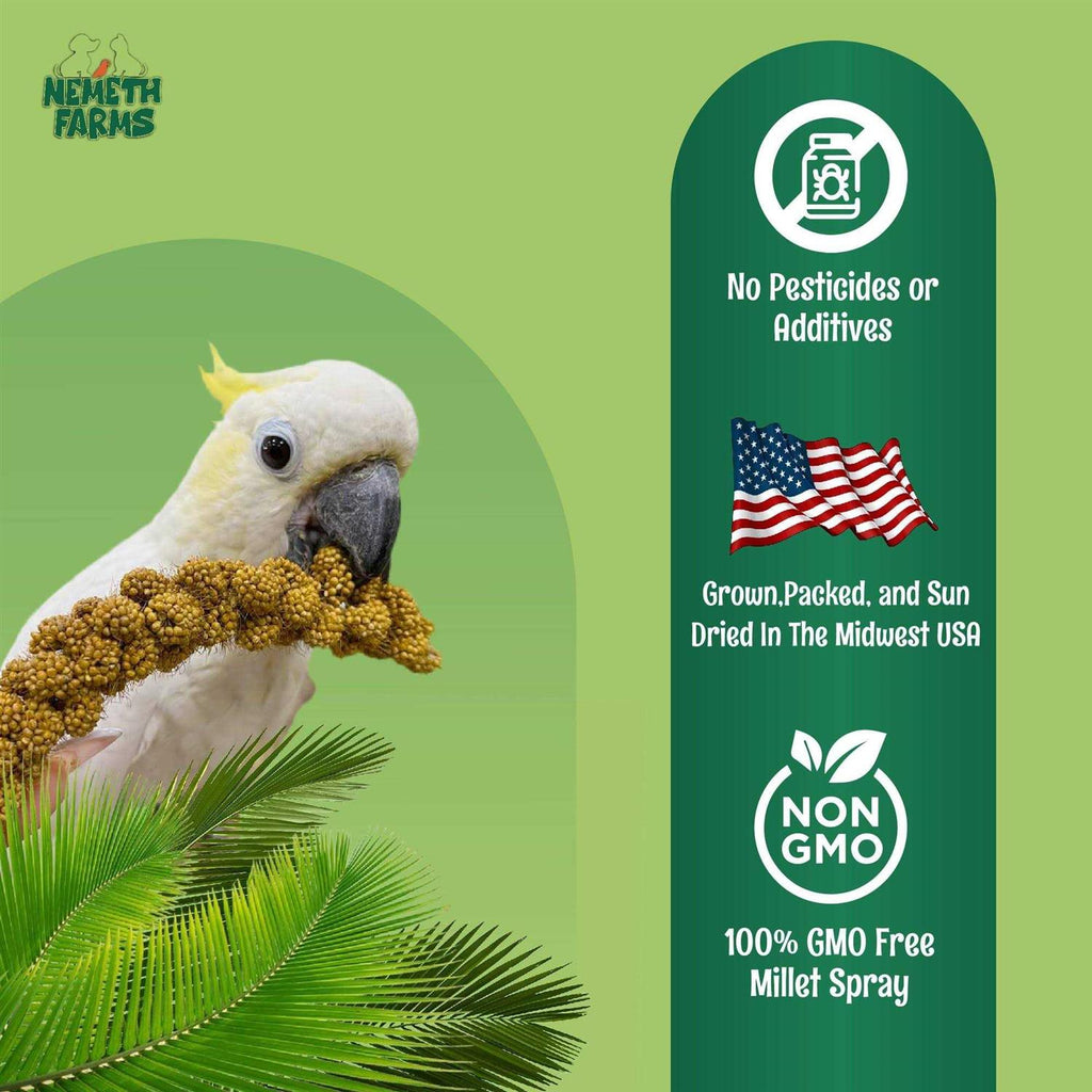 Sun-Dried Non-GMO Pet Supplies O599