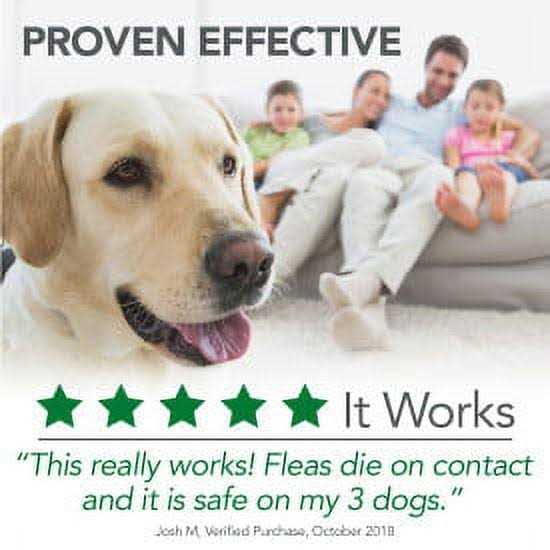 Flea and Tick Yard and Kennel Spray A388