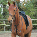 Black Martingale I338150