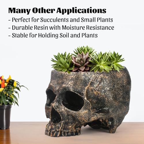 Extra Large Skull Candy Dish Bowl Holder Resin Decor A648539