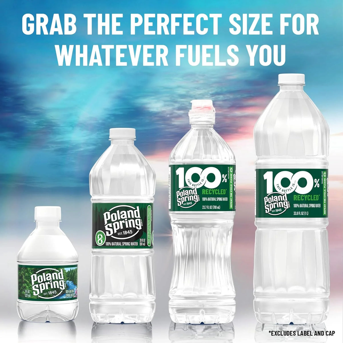 12 Pack Natural Spring Water 8 Ounces R39275