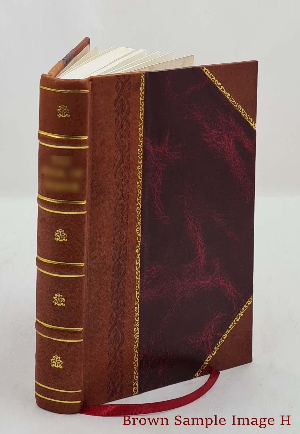 Natural History of the Strait of Magellan and West Coast of Patagonia R19802
